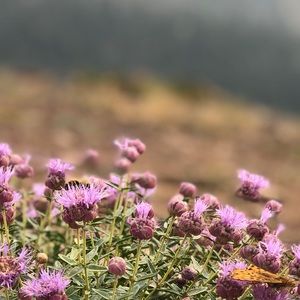 Meet your Posher, Deborah